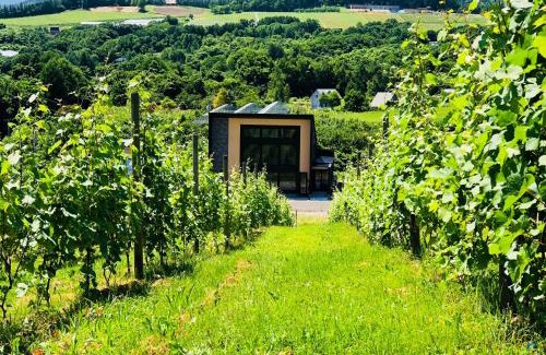 Niki Apartment | Domaine Bless