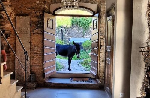 Porri Bed & Breakfast | Domaine COLONNA SANTINI ,Chambre d hôtes Piscine, sauna, spa