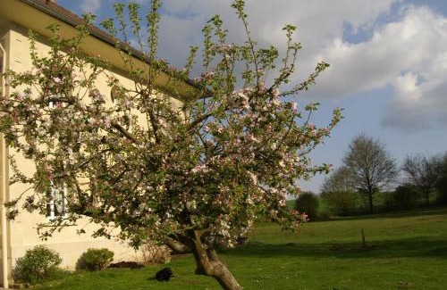 Viarmes Bed & Breakfast | Domaine de Beauvilliers