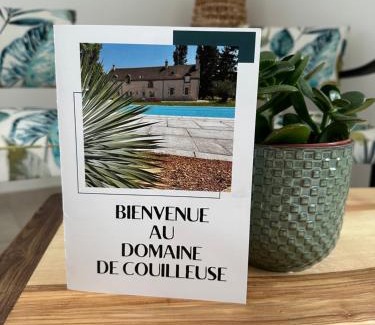Saint-Laurent-Nouan House | Domaine de Couilleuse