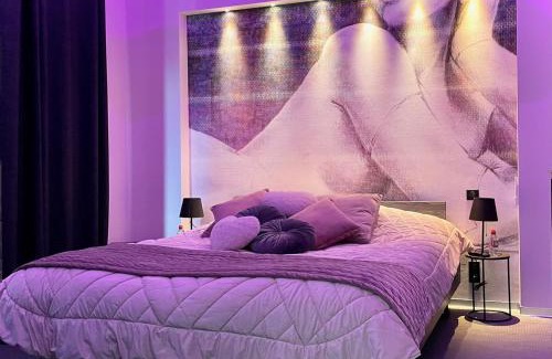 Arcais House | Domaine de l'Angélique - Loft avec SPA privatif - Marais poitevin entre Niort et La Rochelle
