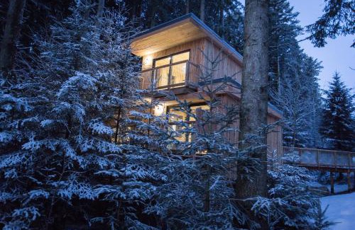 Fournet-Blancheroche House | Domaine de l'Authentique Cabanes dans les arbres