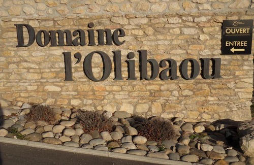Venelles Bed & Breakfast | Domaine de L'Olibaou