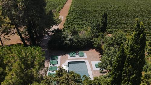 Carcassonne House | Domaine de la JASSO, Demeure de grand luxe au pied de la Cité de Carcassonne, piscines et parc animalier