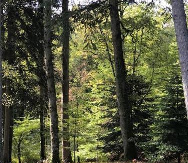 Lunay House | Domaine de la Vaudouriere