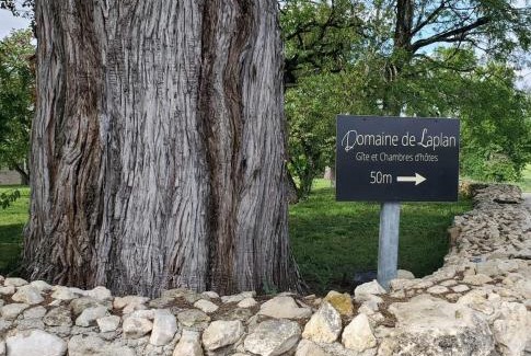 Cezan Bed & Breakfast | Domaine de Laplan