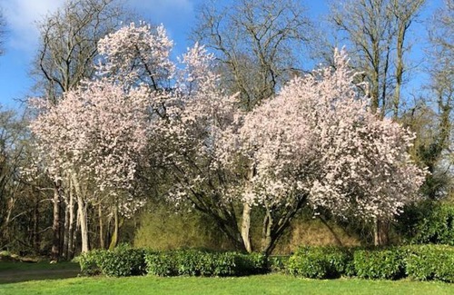 Betz House | Domaine de Macque