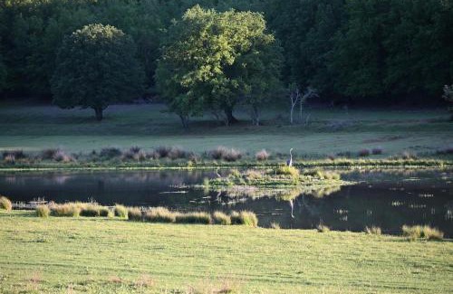 Tourves Bed & Breakfast | Domaine de Muscapeau