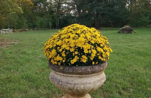 Bengy-sur-Craon Bed & Breakfast | Domaine de Préfond