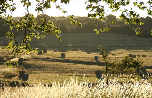 Saint-Saulge Bed & Breakfast | Domaine de Savigny