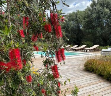 Sollacaro Villa | Domaine de Tappa - Casa Filicina