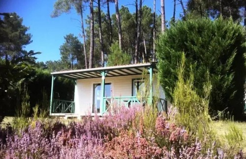 Tamnies Ski Chalet | Domaine des Grands Pins * - Chalet Epicea Confort with air conditioning 4 people