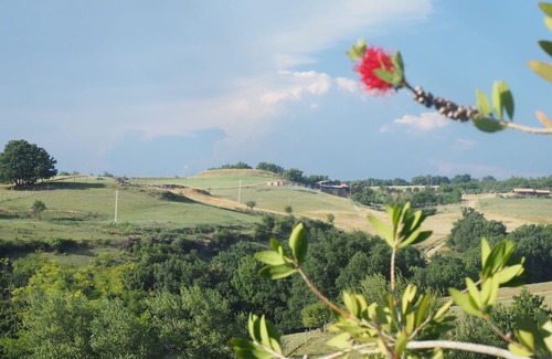 Lapenne Other | Domaine du Cammazet, lovely holiday home on a large estate near Mirepoix