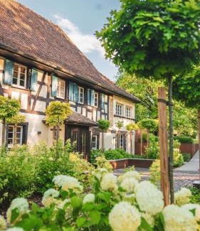 Steinbrunn-le-Bas Bed & Breakfast | Domaine du Kaegy - Hébergements 5 étoiles
