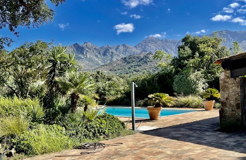 Feliceto House | Domaine du Reginu, in the heart of a 5-hectare olive grove