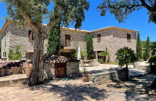 Feliceto House | Domaine du Reginu, in the heart of a 5-hectare olive grove