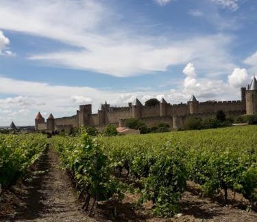 City of Carcassonne House | Domaine Fontgrande Gîte