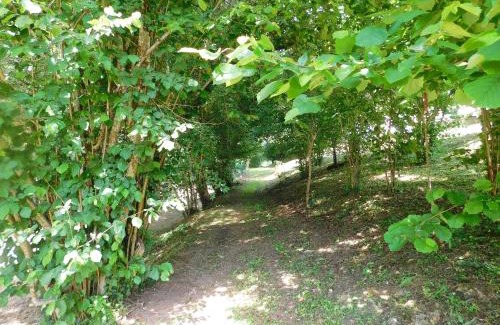 Cleyrac Bed & Breakfast | Domaine La Bastide