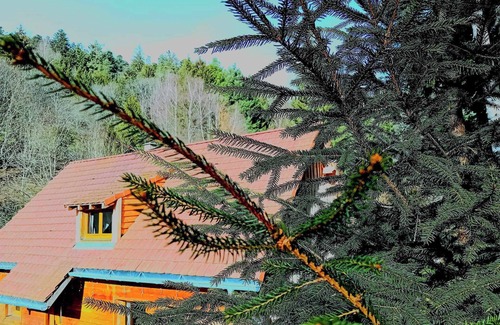 Soultzeren Ski Chalet | Domaine les lodges nature,private wellness, chalet de luxe en pleine nature