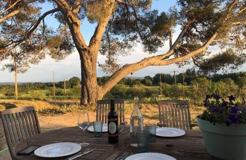 Rieux-Minervois House | Domaine Saint Augustin