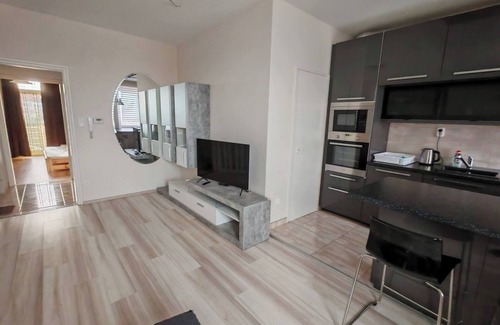 Kecskemet Apartment | Domby Apartment with balcony