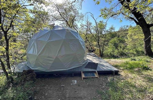 Dunlap Apartment | Dome 3 - Enchanted Forest
