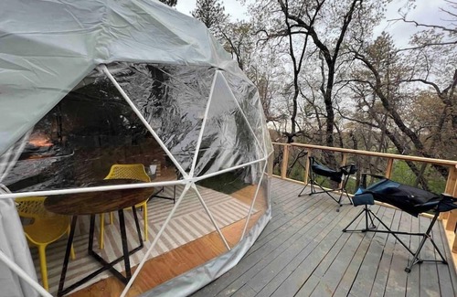 Dunlap Apartment | Dome 3 - Enchanted Forest