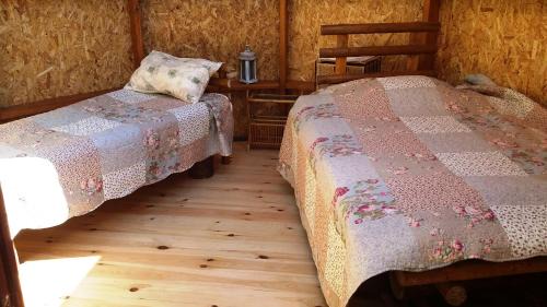 Plavniekkalns Other | Dome Bungalow Niedras Jurmala