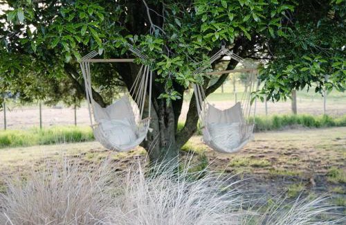 Rotorua District Other | DomeHome