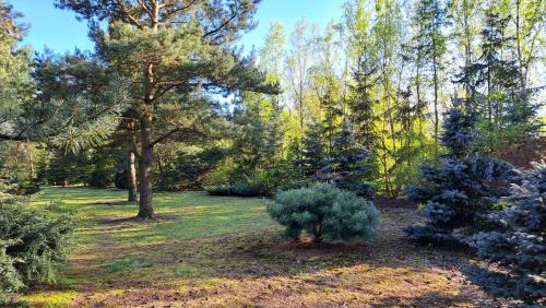 Zagan Apartment | Domek Leśny bungalow