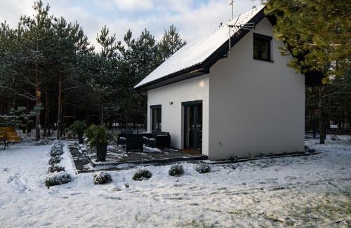 Rakow Ski Chalet | Domek Leśny Spokój Smyków - AGROTURYSTYKA