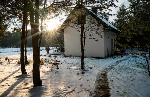 Rakow Ski Chalet | Domek Leśny Spokój Smyków - AGROTURYSTYKA