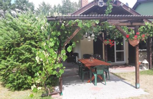 gmina Zakrzewo Cabin | domek letniskowy w Kujankach
