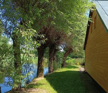 Kolno House | Domek nad Pisą