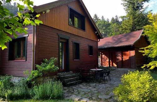 Miedzygorze House | Domek nad potokiem