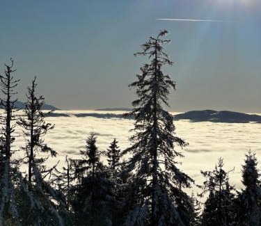 Rycerka Gorna Ski Chalet | Domek Oźna płoscyna