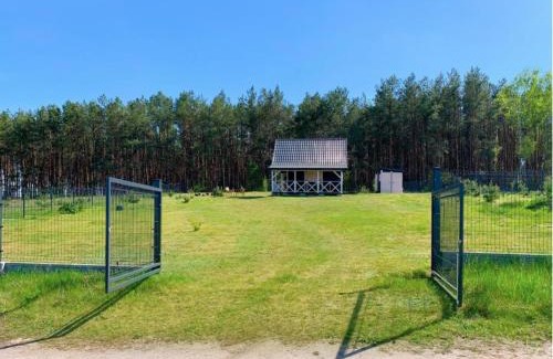 Bobrowice Ski Chalet | Domek Pod Sosnami