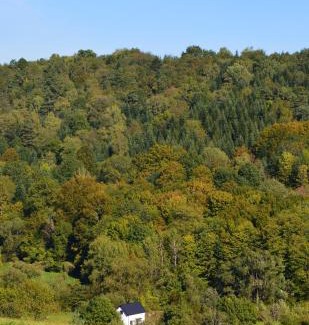gmina Bircza Villa | Domek Ranczo Podkówka