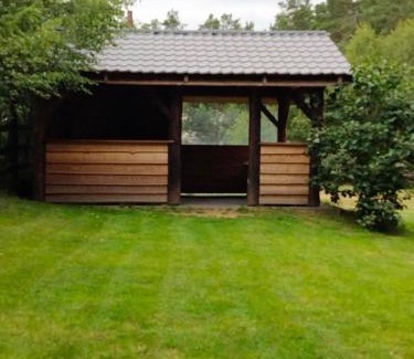 Czarna Dabrowka House | Domek Rokitki