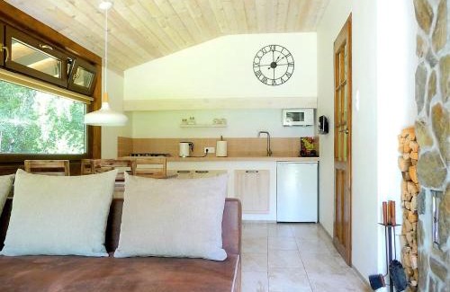Krokowa House | Domek w Brzozowym Lesie