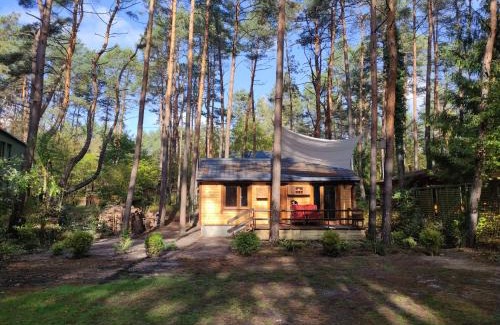 Wiazowna Ski Chalet | Domek w lesie nad rzeką Świder