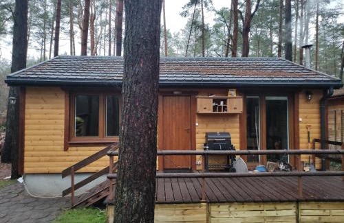 Wiazowna Ski Chalet | Domek w lesie nad rzeką Świder