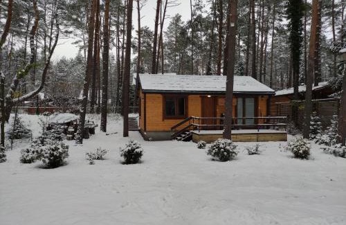 Wiazowna Ski Chalet | Domek w lesie nad rzeką Świder