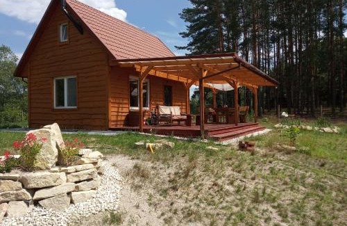 Bilgoraj House | Domek w lesie