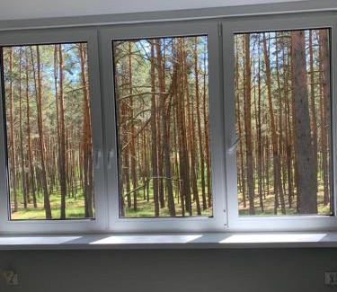 Ocypel House | Domek wypoczynkowy w lesie nad jeziorem