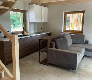 Baranow Sandomierski Ski Chalet | Domki : Franek, Tymek,Gabi