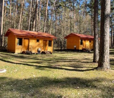Natac Wielka House | Domki i Pole Namiotowe Pod Sosnami