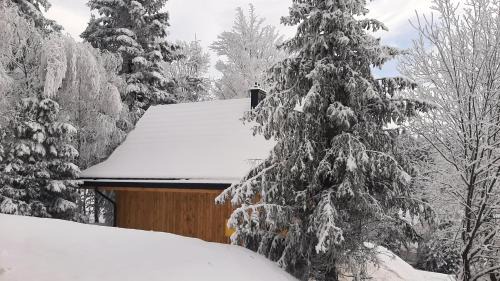 Krzyzowka Ski Chalet | Domki Krynica
