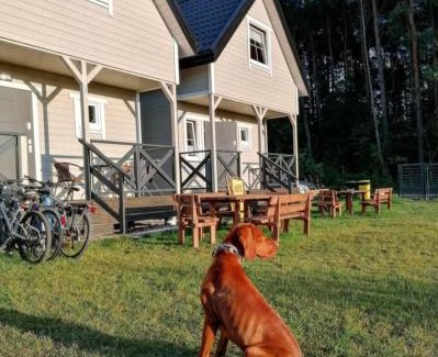 Rozewie House | Domki Letniskowe Ahoy Rozewie