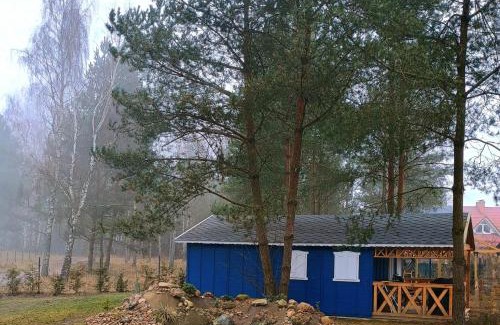 Skarszewy House | Domki na Kociewiu Pati